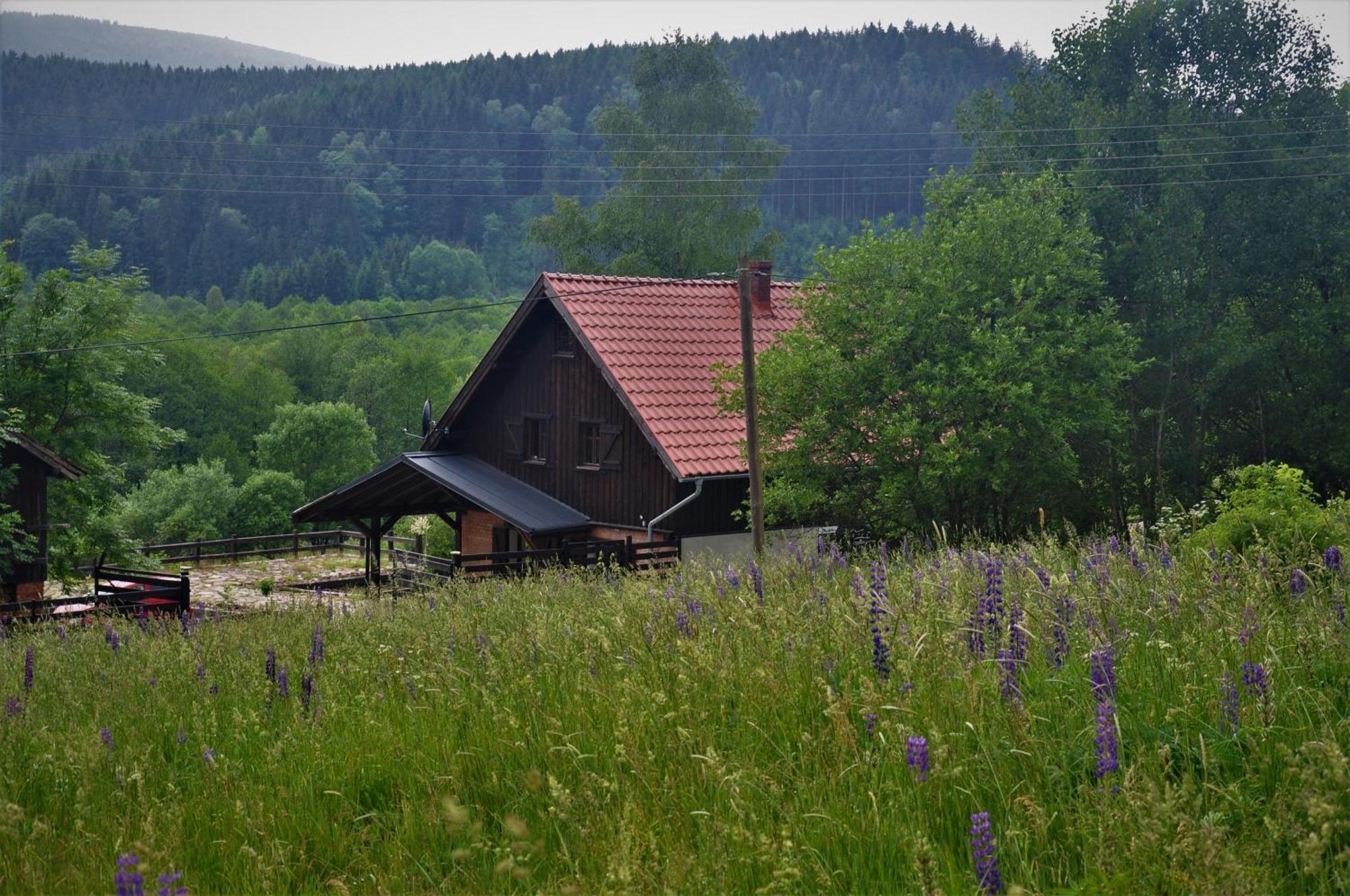Chata Nad Dzika Orlica Z Jacuzzi Poniatow Exterior foto